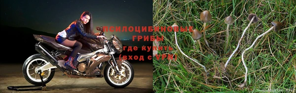прущий лед Нязепетровск