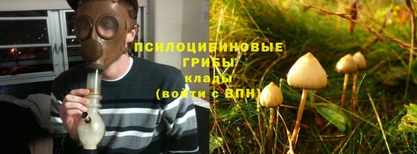 мяу мяу мука Няндома
